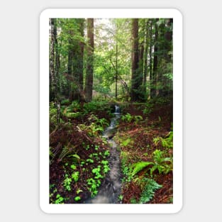 Forest Waterfall Sticker